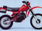 1982 Honda XR 250